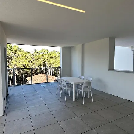 Pool Access Penthouse Near The * ביביונה